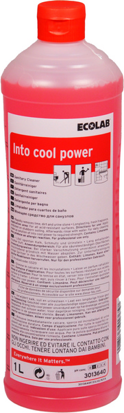Into cool power Sanitärreiniger