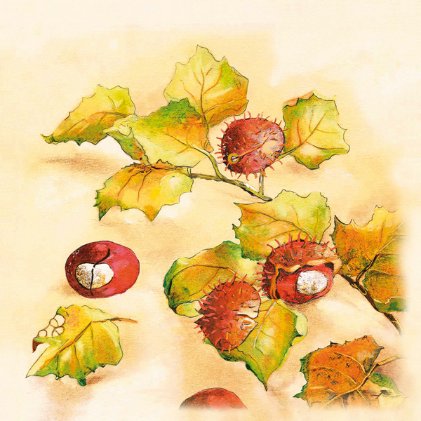 Mank Linclass Servietten