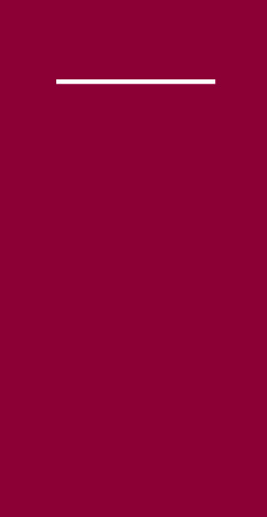 Mank Linclass Light Pocket Napkins Airlaid, 40 × 40 cm, 55 g/m², 1/8-Falzung, bordeaux - Webstar - Hygiene- und Verbrauchsartikel - Medizin- und Pflegeprodukte - Kiosk- und Shopartikel - Fun Food Service - Schweiz - Articles d’hygiène et consommables - Produits médicaux et de soins - Produits de kiosque et de magasin - Fun Food Service - Suisse