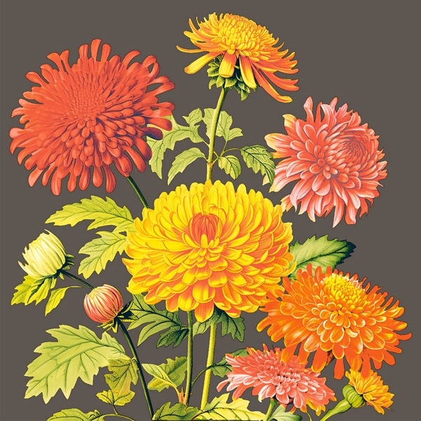 Mank Linclass Premium Serviette