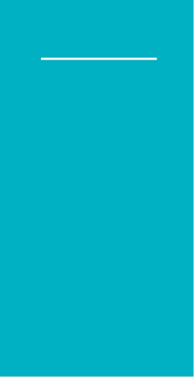 Mank Linclass Pocket Napkins