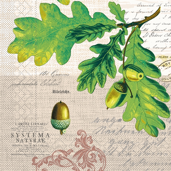 Mank Tissue Servietten