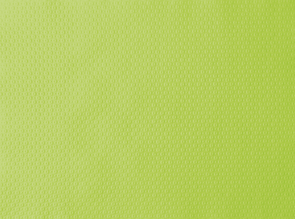 Duni Tischset Papier, 30 × 40 cm, kiwi - Webstar - Hygiene- und Verbrauchsartikel - Medizin- und Pflegeprodukte - Kiosk- und Shopartikel - Fun Food Service - Schweiz - Articles d’hygiène et consommables - Produits médicaux et de soins - Produits de kiosque et de magasin - Fun Food Service - Suisse