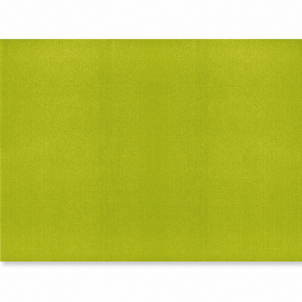 Tischset Fiesta Papier, 30 × 43 cm, 60 g/m², 1-lagig, green tea - Webstar - Hygiene- und Verbrauchsartikel - Medizin- und Pflegeprodukte - Kiosk- und Shopartikel - Fun Food Service - Schweiz - Articles d’hygiène et consommables - Produits médicaux et de soins - Produits de kiosque et de magasin - Fun Food Service - Suisse