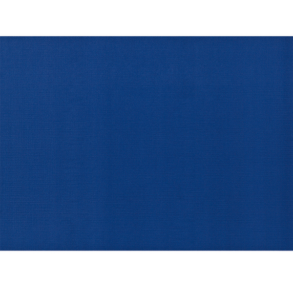 Tischset Fiesta Papier, 30 × 43 cm, 60 g/m², 1-lagig, royalblau - Webstar - Hygiene- und Verbrauchsartikel - Medizin- und Pflegeprodukte - Kiosk- und Shopartikel - Fun Food Service - Schweiz - Articles d’hygiène et consommables - Produits médicaux et de soins - Produits de kiosque et de magasin - Fun Food Service - Suisse