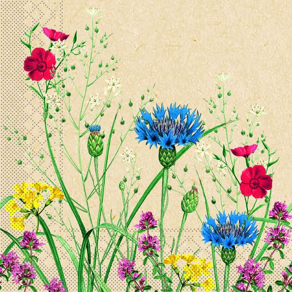 Serviette
