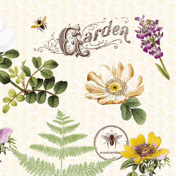 Softpoint Servietten