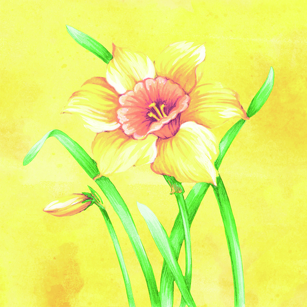 Mank Linclass Servietten