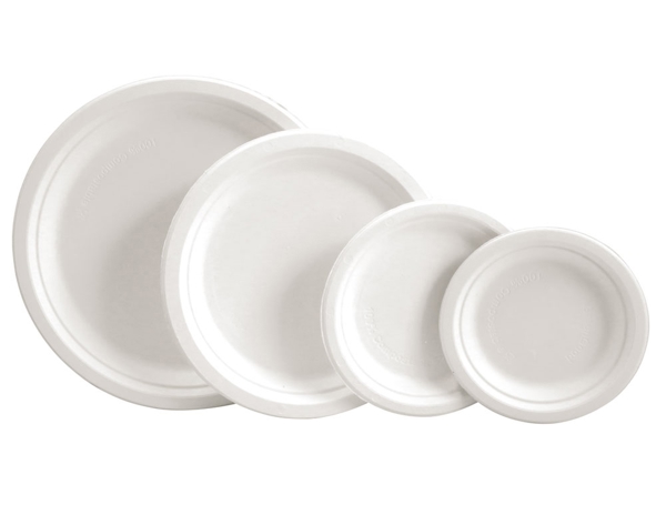 Teller Bagasse, weiss, kompostierbar, Ø 230 × 20 mm - Webstar - Hygiene- und Verbrauchsartikel - Medizin- und Pflegeprodukte - Kiosk- und Shopartikel - Fun Food Service - Schweiz - Articles d’hygiène et consommables - Produits médicaux et de soins - Produits de kiosque et de magasin - Fun Food Service - Suisse