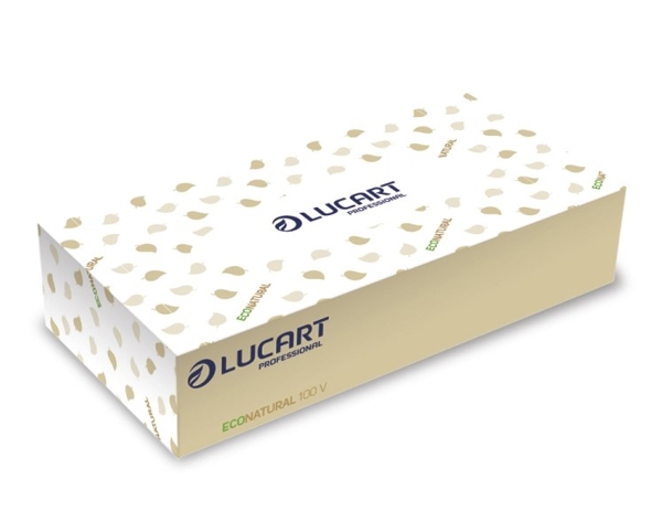 Lucart EcoNatural 100 V Standard Kosmetiktuch Recycling, 2-lagig, havanna, Box à 100 Tücher, 20 × 21 cm - Webstar - Hygiene- und Verbrauchsartikel - Medizin- und Pflegeprodukte - Kiosk- und Shopartikel - Fun Food Service - Schweiz - Articles d’hygiène et consommables - Produits médicaux et de soins - Produits de kiosque et de magasin - Fun Food Service - Suisse