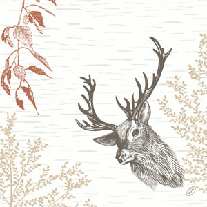 BioDunisoft Servietten, 1/4 Falz Wood & Deer 40 x 40 cm - Webstar - Hygiene- und Verbrauchsartikel - Medizin- und Pflegeprodukte - Kiosk- und Shopartikel - Fun Food Service - Schweiz - Articles d’hygiène et consommables - Produits médicaux et de soins - Produits de kiosque et de magasin - Fun Food Service - Suisse