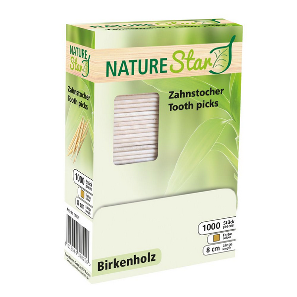 Zahnstocher