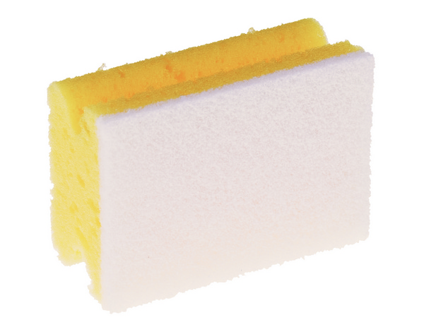 Pad-Schwamm Profi klein