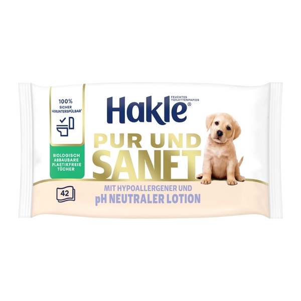 Hakle Pure Sauberkeit feuchtes Toilettenpapier Alkoholfrei und Hypoallergen Paket à 38 Tücher - Webstar - Hygiene- und Verbrauchsartikel - Medizin- und Pflegeprodukte - Articles d’hygiène et consommables - Produits médicaux et de soins