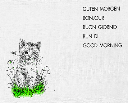 Tischset Katze Papier, 28 × 39 cm, 50 g/m², 1-lagig, Katze - Webstar - Hygiene- und Verbrauchsartikel - Medizin- und Pflegeprodukte - Kiosk- und Shopartikel - Fun Food Service - Schweiz - Articles d’hygiène et consommables - Produits médicaux et de soins - Produits de kiosque et de magasin - Fun Food Service - Suisse
