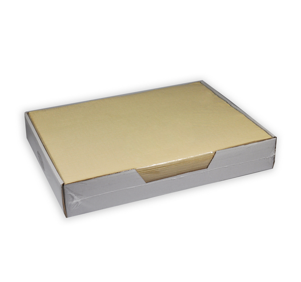 Starline Tischset 29 × 39 cm, 1-lagig, Shetland-Prägung, champagner - Webstar - Hygiene- und Verbrauchsartikel - Medizin- und Pflegeprodukte - Kiosk- und Shopartikel - Fun Food Service - Schweiz - Articles d’hygiène et consommables - Produits médicaux et de soins - Produits de kiosque et de magasin - Fun Food Service - Suisse