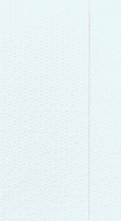 Duni Spenderservietten