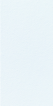 Duni Spenderservietten