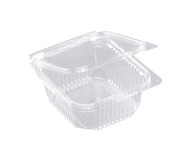 Rechteckschale mit Scharnierdeckel