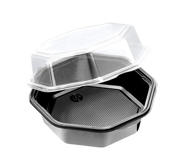 Octaview Box