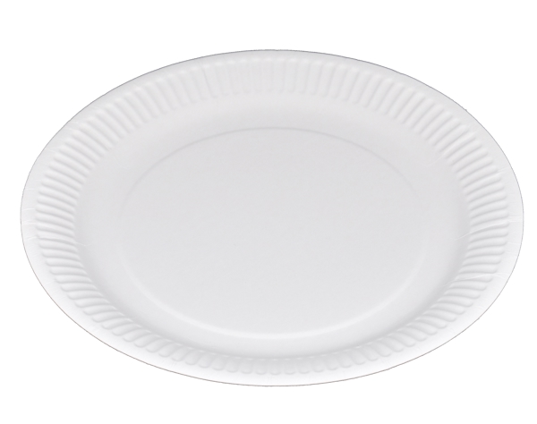 Kartonteller Frischfaser, weiss, unbeschichtet, Ø 230 mm - Webstar - Hygiene- und Verbrauchsartikel - Medizin- und Pflegeprodukte - Kiosk- und Shopartikel - Fun Food Service - Schweiz - Articles d’hygiène et consommables - Produits médicaux et de soins - Produits de kiosque et de magasin - Fun Food Service - Suisse