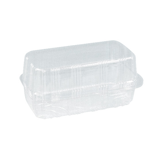 Blister mit Scharnierdeckel