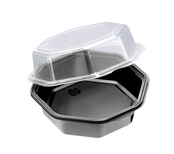 Octaview Box